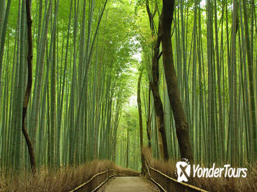 Private Kyoto Arashiyama Custom Half-Day Tour by Chartered Vehicle