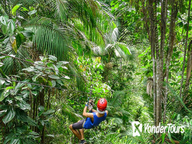 Private Mindo Ziplining, Chocolate Tasting, and Equator Museum Tour