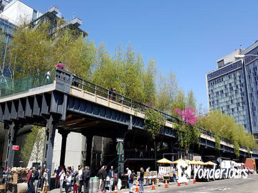 Private New York City High Line and Greenwich Village Walking Tour