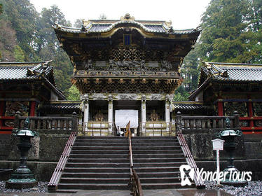 Private Nikko Custom Tour from Tokyo by Chartered Vehicle