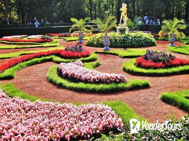 Private Peterhof Tour from St Petersburg