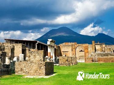 Private Round-Trip Transport to Pompeii, Mt Vesuvius, and Winery from Naples or Amalfi Coast