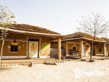 Private Same day Excursion Trip to Bishnoi Village from Jodhpur with Transfers Private Same day Excursion Trip to Bishnoi Village from Jodhpur with Transfers