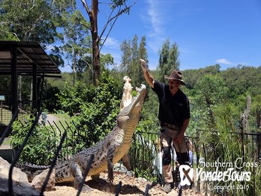 Private Shoalhaven Zoo Experience from Sydney