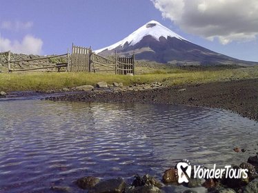 Private Sightseeing Tour of Cotopaxi National Park