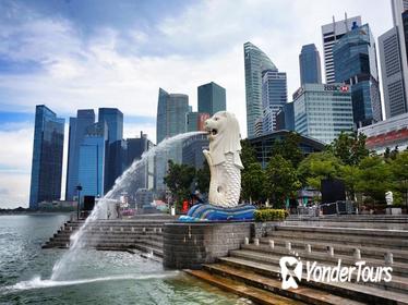 Private Singapore Airport Layover Walking Tour