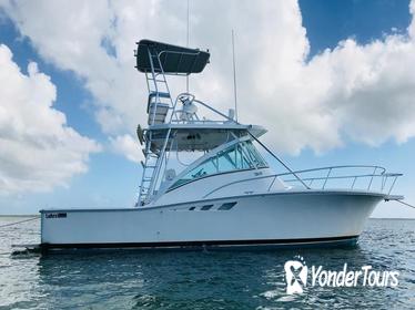 Private Snorkel Charter