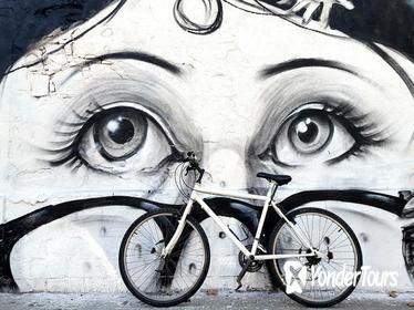 Private Street Art Bike Tour in Barcelona