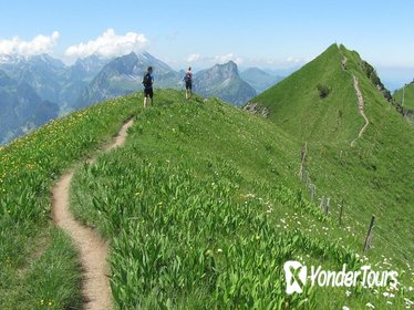 Private Swiss Alps Hike with Transport from Lucerne