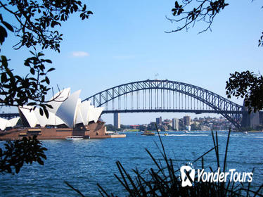 Private Sydney Half-Day Sightseeing Tour Including Sydney Opera House Harbour Bridge and Bondi Beach