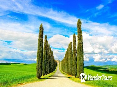Private Tour in Val d'Orcia: Discover the most Beautiful Hills in Italy