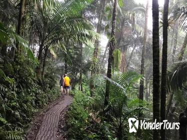 Private Tour of El Yunque National Rainforest from San Juan