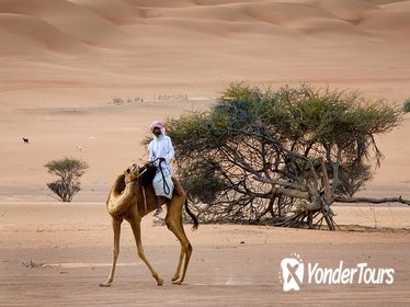 Private Tour of Wahiba Sands Desert with Wadi Bani Khalid by 4X4