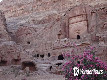 Private Tour Petra and Shobak Castle from Amman
