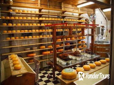 Private Tour to Cheese Factory, Wooden shoe Factory & Windmills from Amsterdam