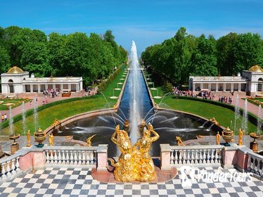Private Tour to Peterhof Park and Catherine's Palace & Amber Room