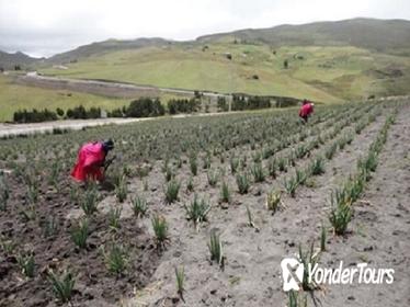 Private tour: 3-Day Quilotoa Hiking Tour Including Local Communities