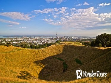 Private Tour: Auckland City and Countryside Tour
