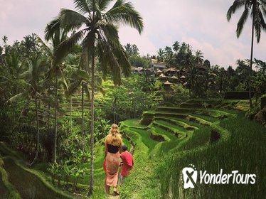 Private Tour: Balinese Culture and Scenery