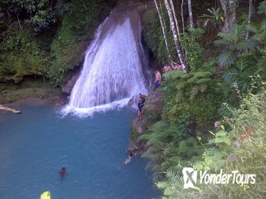 Private Tour: Blue Hole and Fern Gully Rain Forest Adventure from Ocho Rios