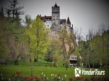 Private Tour: Bran Castle and Rasnov fortress from Sibiu