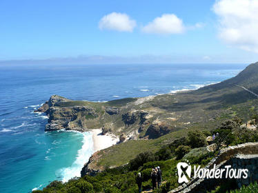 Private Tour: Cape Peninsula and Boulders Beach Penguins Day Trip from Cape Town