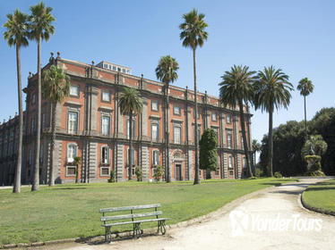 Private Tour: Capodimonte Museum in Naples