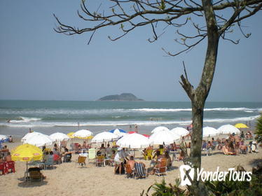 Private Tour: Coffee and Beaches Day Trip from Sao Paulo