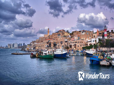 Private Tour: Customized Half-Day Walking Tour of Tel Aviv