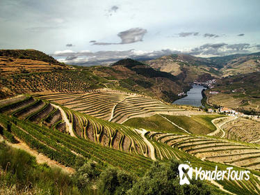 Private Tour: Douro Vinhateiro from Porto with Wine Tasting