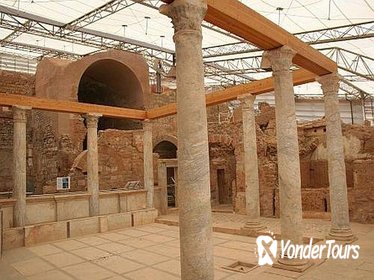 Private Tour: Ephesus and Terrace Houses Tour from Kusadasi