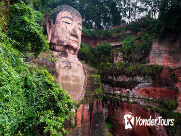 Private Tour: Giant Panda Research Center and Leshan Giant Buddha Day Trip from Chengdu Including Bullet Train