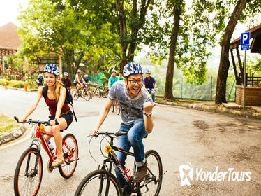 Private Tour: Half-Day Bangkok Bike Tour with a Local Private Tour: Half-Day Bangkok Bike Tour with a Local