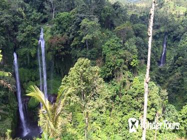 Private Tour: Jatiluwih Rice Terrace and Munduk Waterfall Tour