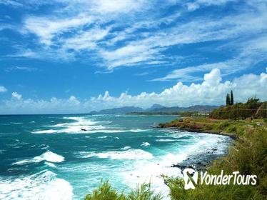 Private Tour: Kauai Sightseeing Adventure