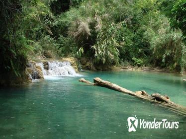 Private Tour: Kuang Si Waterfall from Luang Prabang