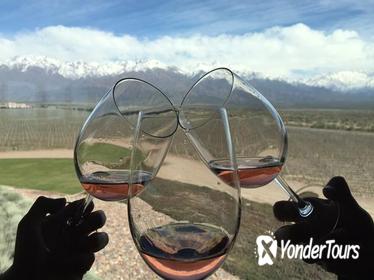Private Tour: Lujan de Cuyo Wine Region from Mendoza