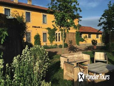 Private Tour: Lunch and Wine Tasting in a Roman Vineyard Private Tour: Lunch and Wine Tasting in a Roman Vineyard