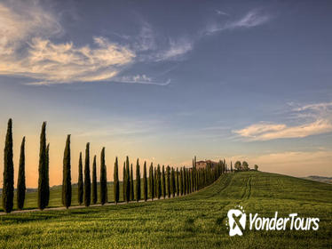 Private Tour: Medieval Val d'Orcia by Minivan from Florence