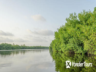 Private Tour: Nichupte Lagoon Wildlife from Riviera Maya