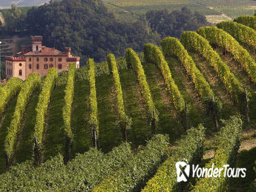 Private Tour: Piedmont Wine Tasting of the Barolo Region