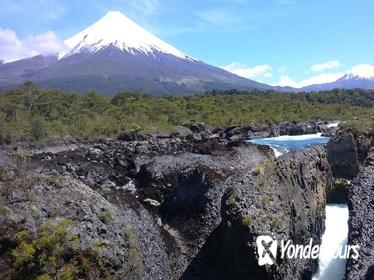 Private Tour: Puerto Montt, Puerto Varas and Vicente Peres Rosales National Park