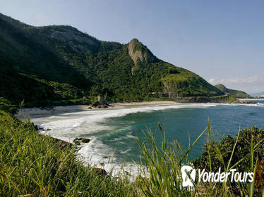 Private Tour: Rio de Janeiro Beaches and Forest Landscapes
