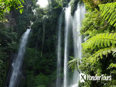 Private Tour: Sekumpul Waterfalls Hiking Tour