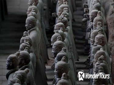 Private Tour: Terracotta Warriors, Ancient City Wall, and Muslim Quarter