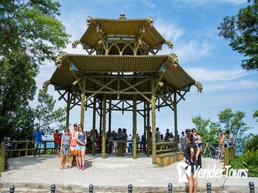 Private Tour: Tijuca National Park Photography Tour