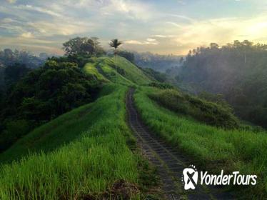 Private Tour: Ubud Rice Paddies Trek with Campuhan Ridge Walk