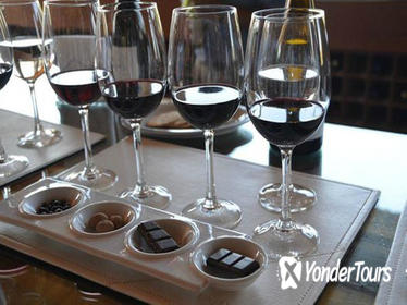 Private Tour: Undurraga Vineyard Experience with Premium Wine Tasting