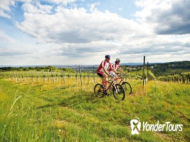 Private Tour: Vienna Woods and Kahlenberg Mountain Bike Ride