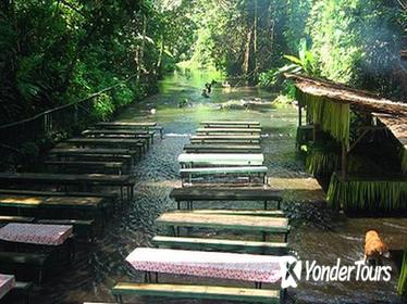 Private Tour: Villa Escudero with Lunch from Manila